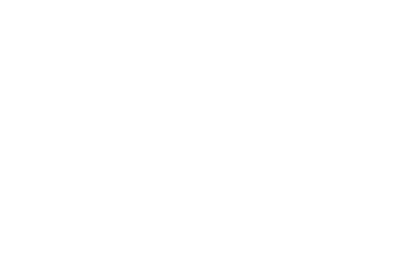 Logotipo de la Consultoría SEO Levante de Álvaro Pichó