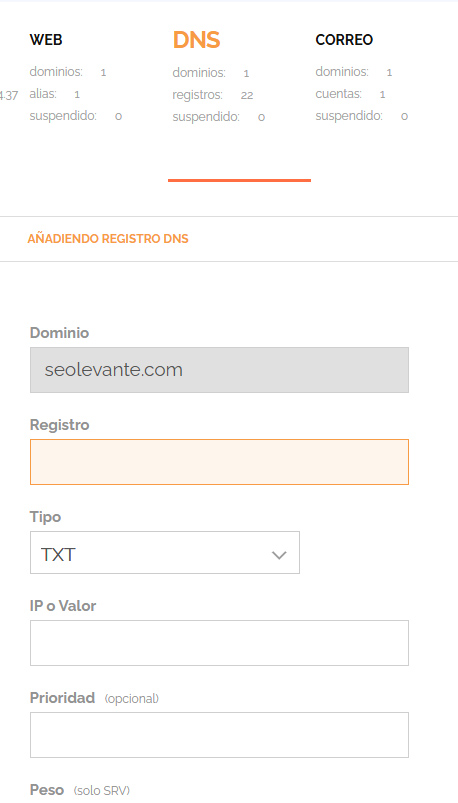Nuevo registro en DNS SEO Levante